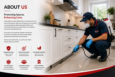 Professional Pest Control Services