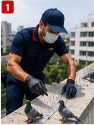 Snake Control Services