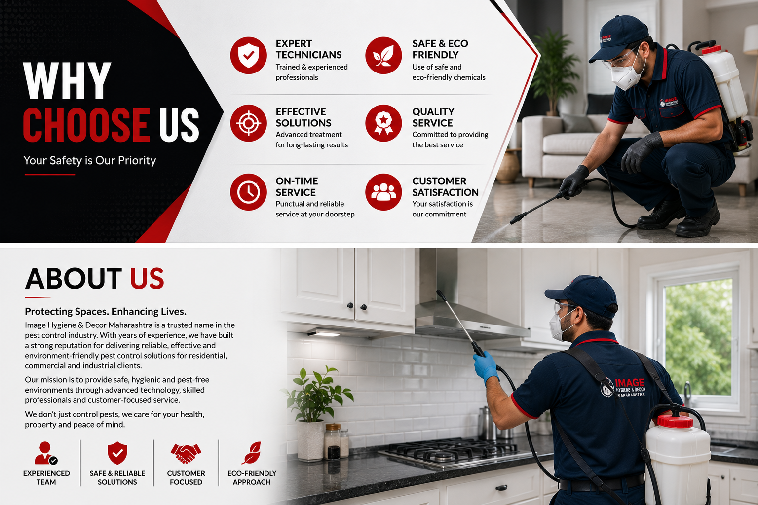 Professional Pest Control Technician